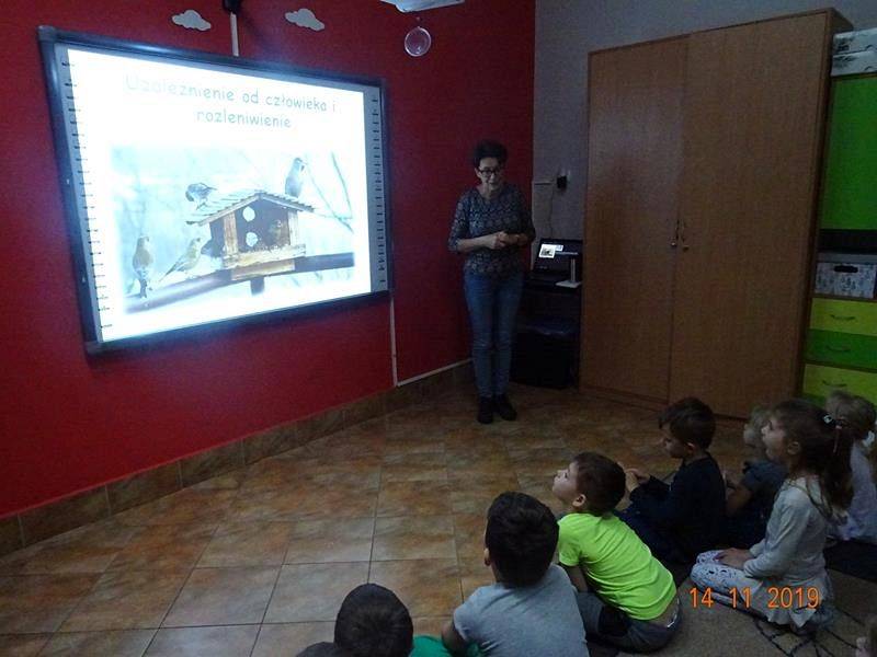 Grafika #0: Zajęcia przyrodnicze Czy dokarmiać ptaki zimą