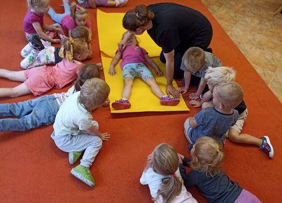 Grafika #12: 2023-2024