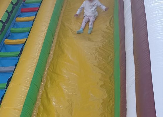 Grafika #76: 2023-2024