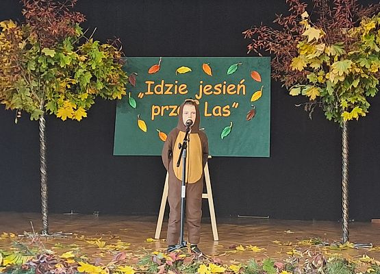 Konkurs "Idzie jesień przez świat" grafika