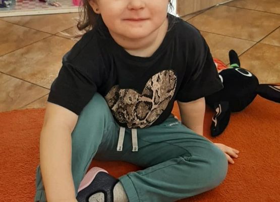 Dzień Pluszowego Misia grafika