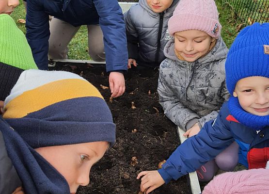Pola Nadziei grafika