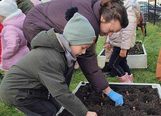 Pola Nadziei grafika
