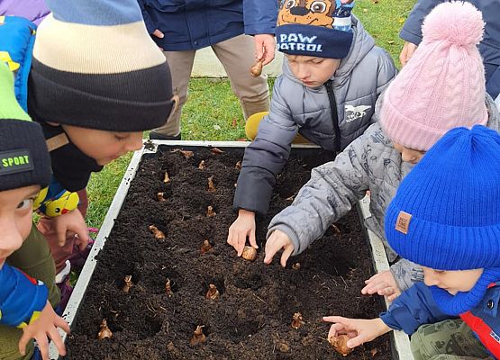 Pola Nadziei grafika