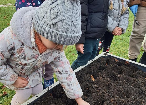 Pola Nadziei grafika