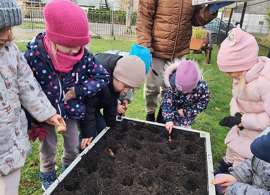 Pola Nadziei grafika