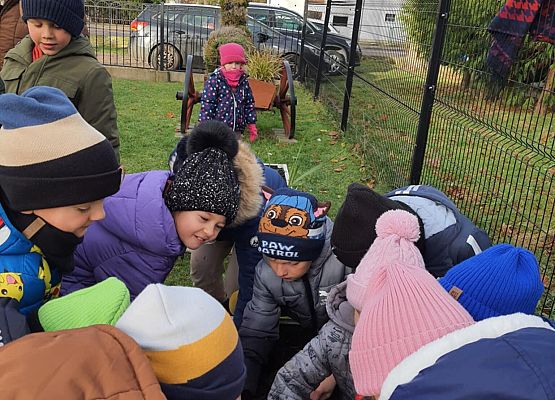 Pola Nadziei grafika