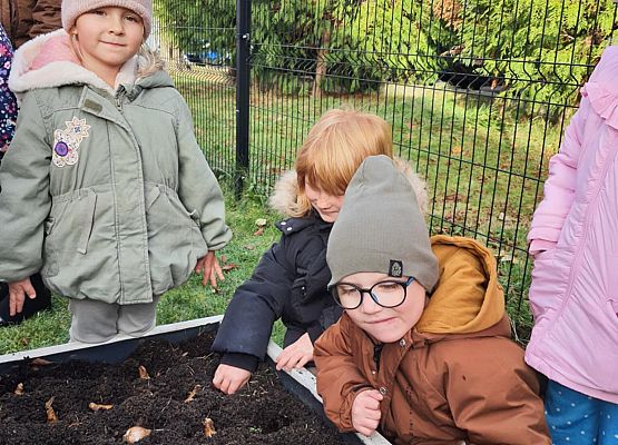 Pola Nadziei grafika