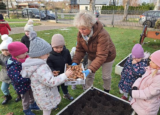 Pola Nadziei grafika