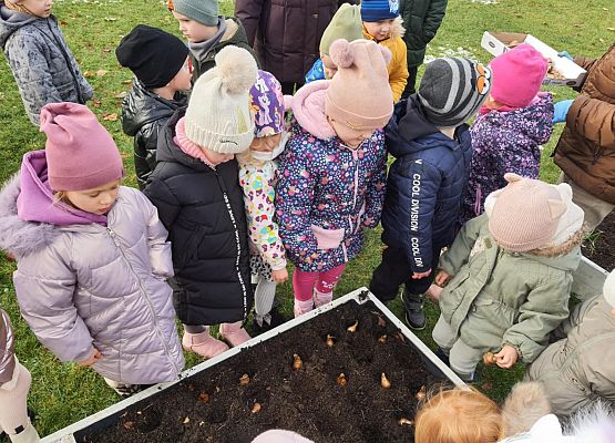 Pola Nadziei grafika