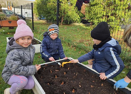 Pola Nadziei grafika