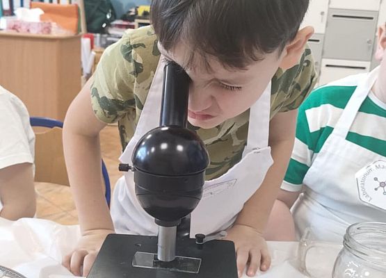 Eksperymenty w grupie Sowy grafika