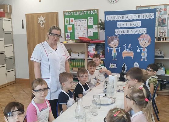 Eksperymenty w grupie Sowy grafika