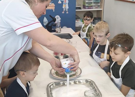 Eksperymenty w grupie Sowy grafika