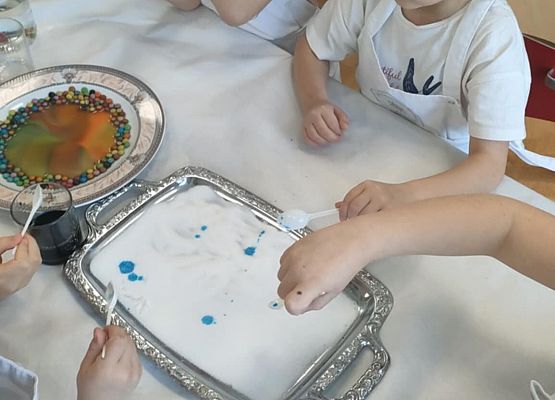 Eksperymenty w grupie Sowy grafika