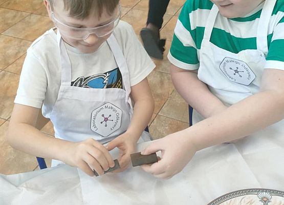 Eksperymenty w grupie Sowy grafika