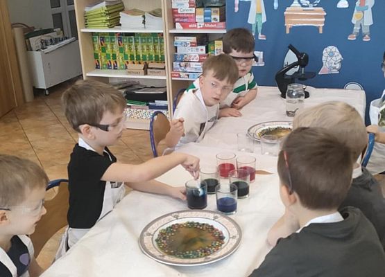 Eksperymenty w grupie Sowy grafika