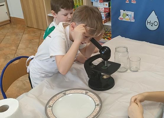 Eksperymenty w grupie Sowy grafika