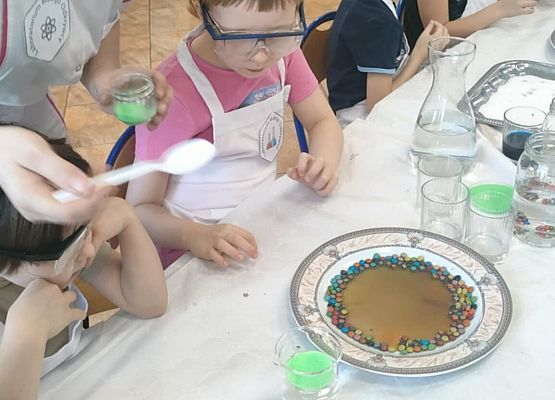 Eksperymenty w grupie Sowy grafika