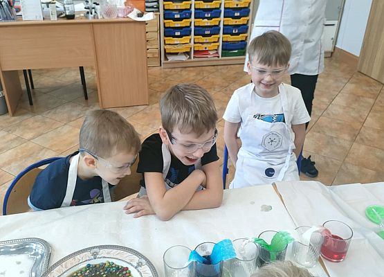 Eksperymenty w grupie Sowy grafika