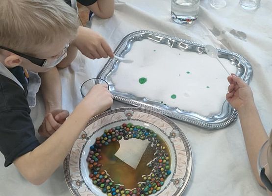 Eksperymenty w grupie Sowy grafika