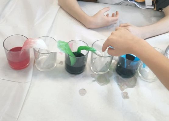 Eksperymenty w grupie Sowy grafika