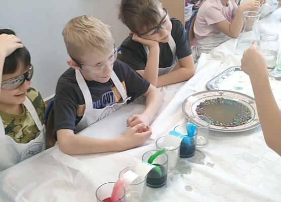 Eksperymenty w grupie Sowy grafika