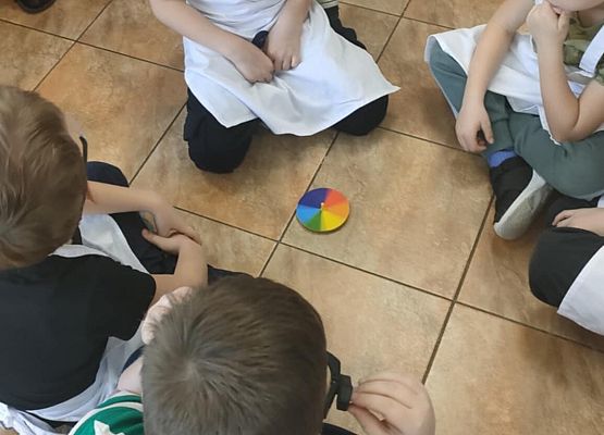 Eksperymenty w grupie Sowy grafika