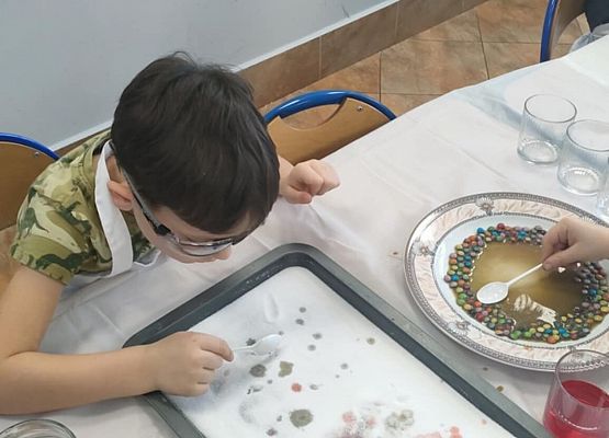 Eksperymenty w grupie Sowy grafika