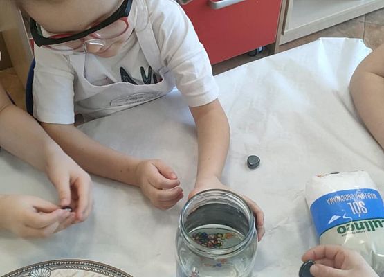 Eksperymenty w grupie Sowy grafika