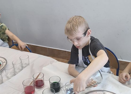 Eksperymenty w grupie Sowy grafika