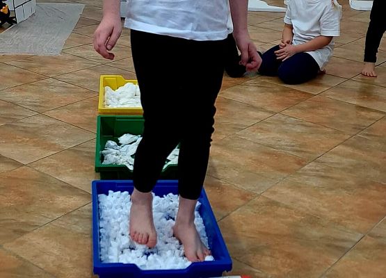 Zajęcia sensoryczne "W krainie pingwinów" grafika