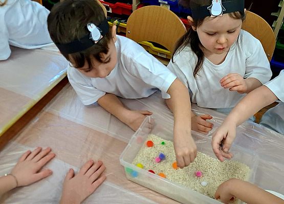 Zajęcia sensoryczne "W krainie pingwinów" grafika