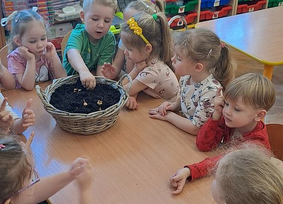 Prace w kącikach przyrody grafika