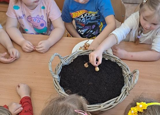 Prace w kącikach przyrody grafika