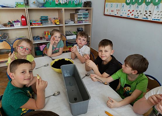 Prace w kącikach przyrody grafika