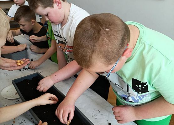 Prace w kącikach przyrody grafika