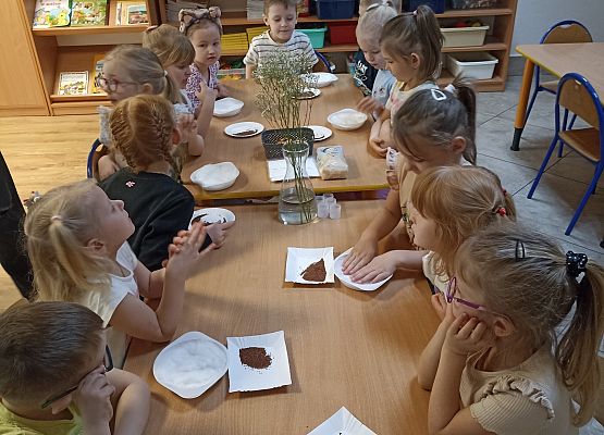 Prace w kącikach przyrody grafika