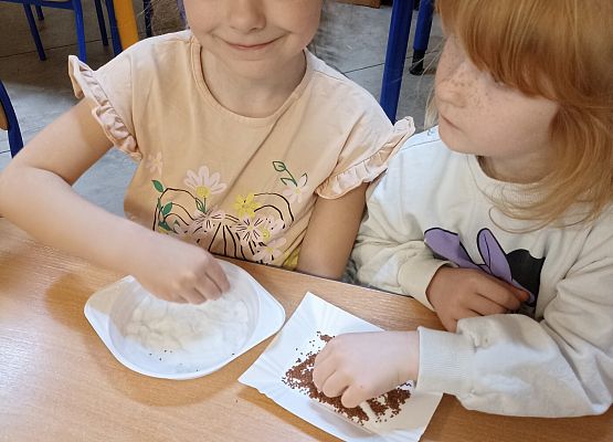 Prace w kącikach przyrody grafika