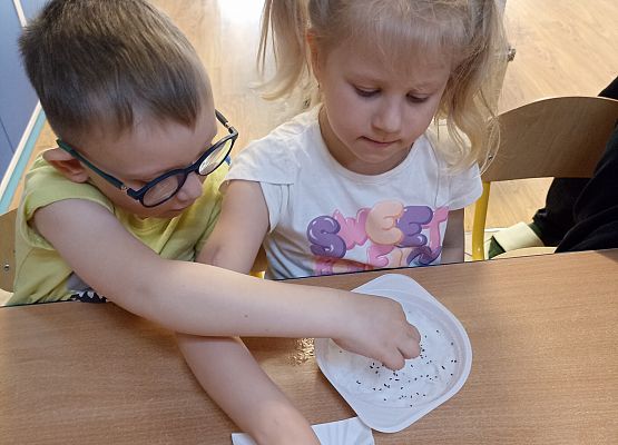 Prace w kącikach przyrody grafika