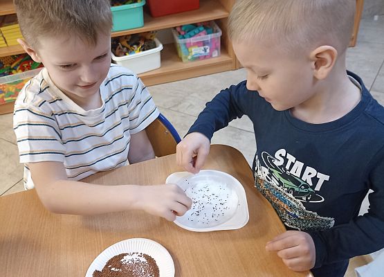 Prace w kącikach przyrody grafika