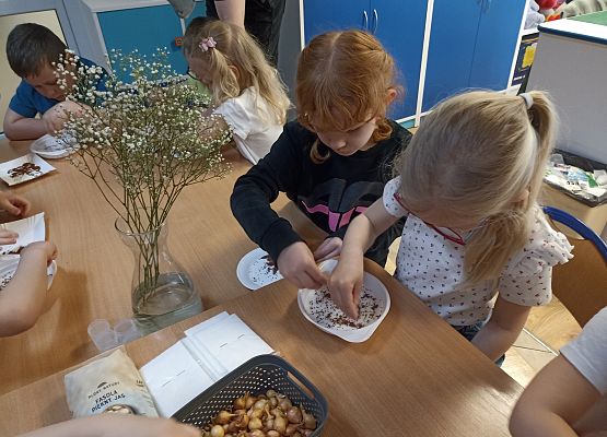 Prace w kącikach przyrody grafika