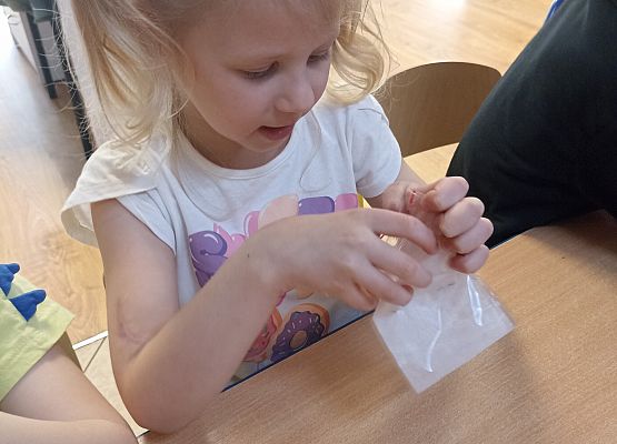 Prace w kącikach przyrody grafika