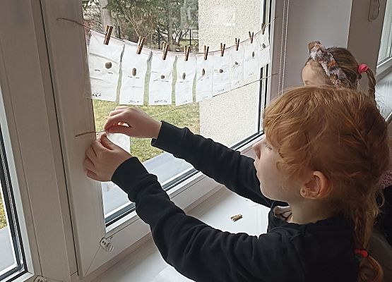 Prace w kącikach przyrody grafika