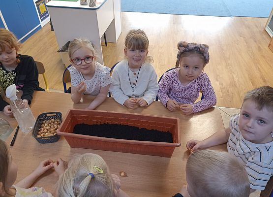 Prace w kącikach przyrody grafika