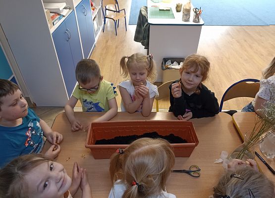 Prace w kącikach przyrody grafika