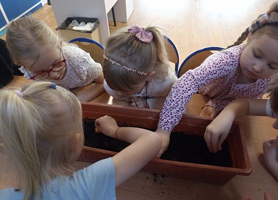 Prace w kącikach przyrody grafika