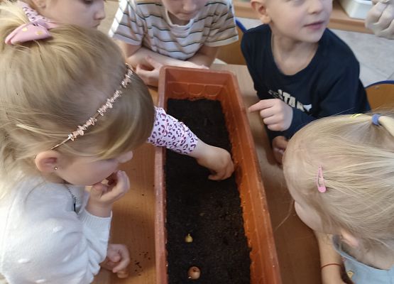 Prace w kącikach przyrody grafika