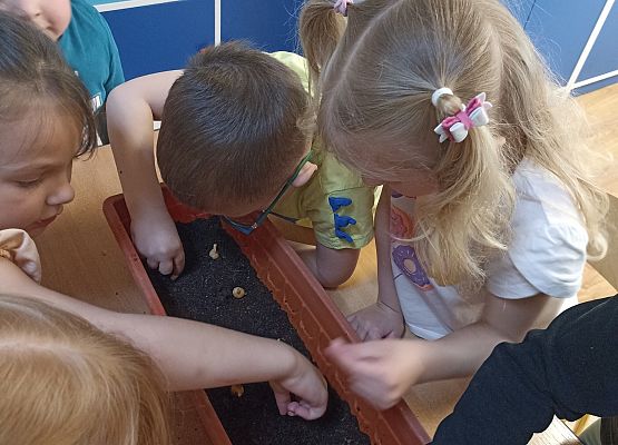 Prace w kącikach przyrody grafika