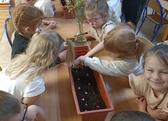 Prace w kącikach przyrody grafika